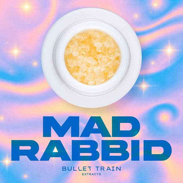 Bullet Train Extracts