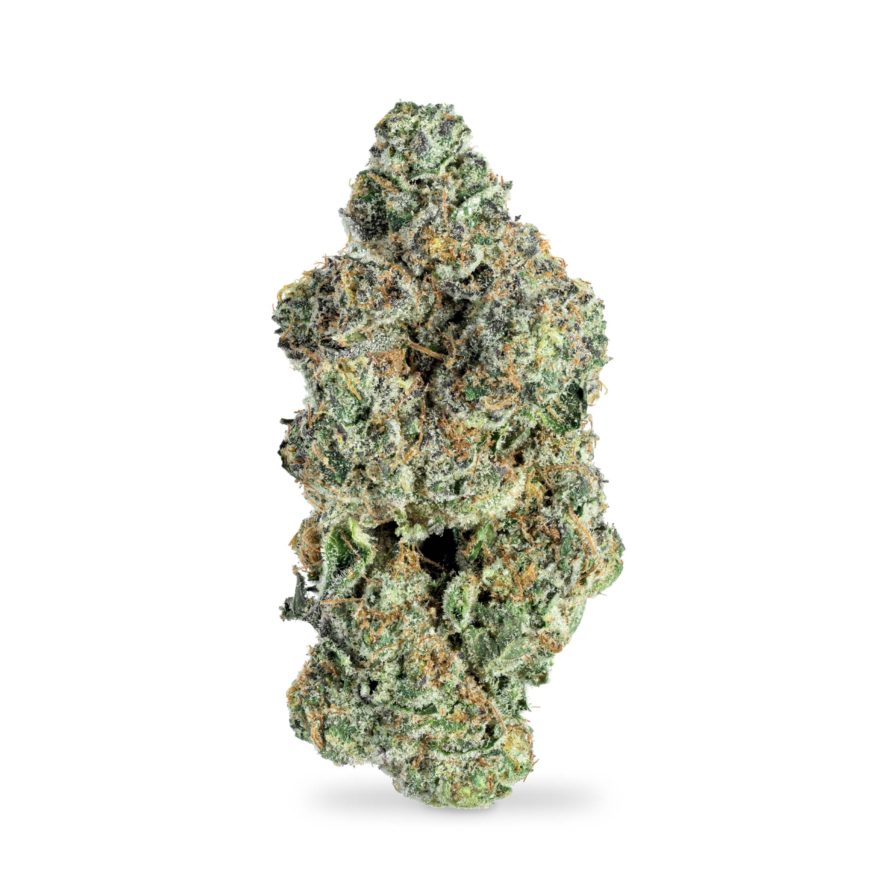 HoneyHole Instagram