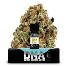 Plug Play PLUG N PLAY | 1g POD | Super Lemon Haze
