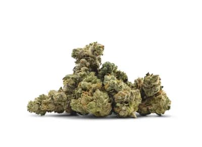BC Smalls Dark Moon Smalls