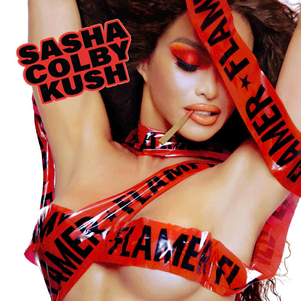 Flamer SASHA COLBY KUSH 5 pack (2.5G)