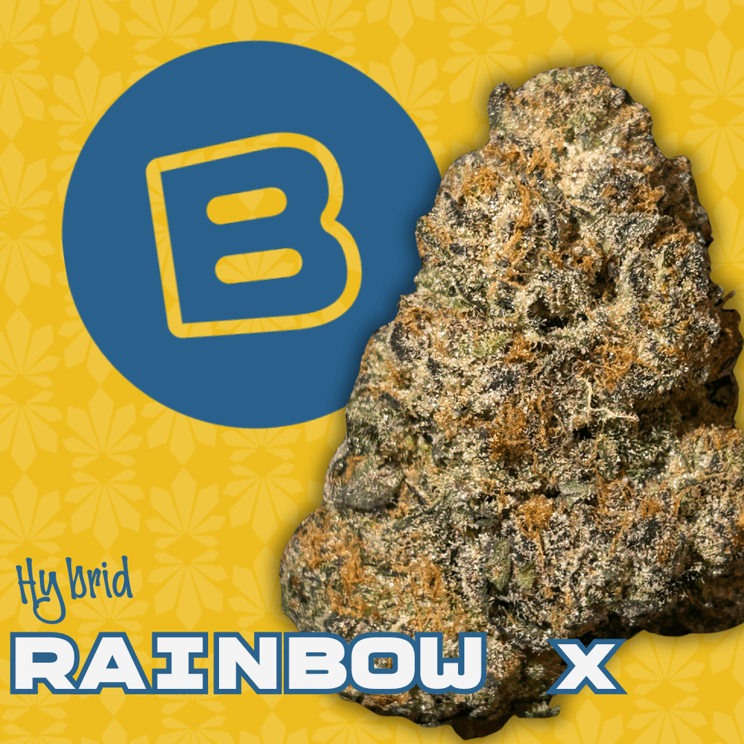 Buckeye Rainbow X | 3.5g Bigs