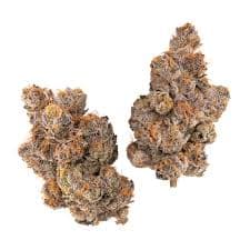 Highlights Gastro Pop 14g