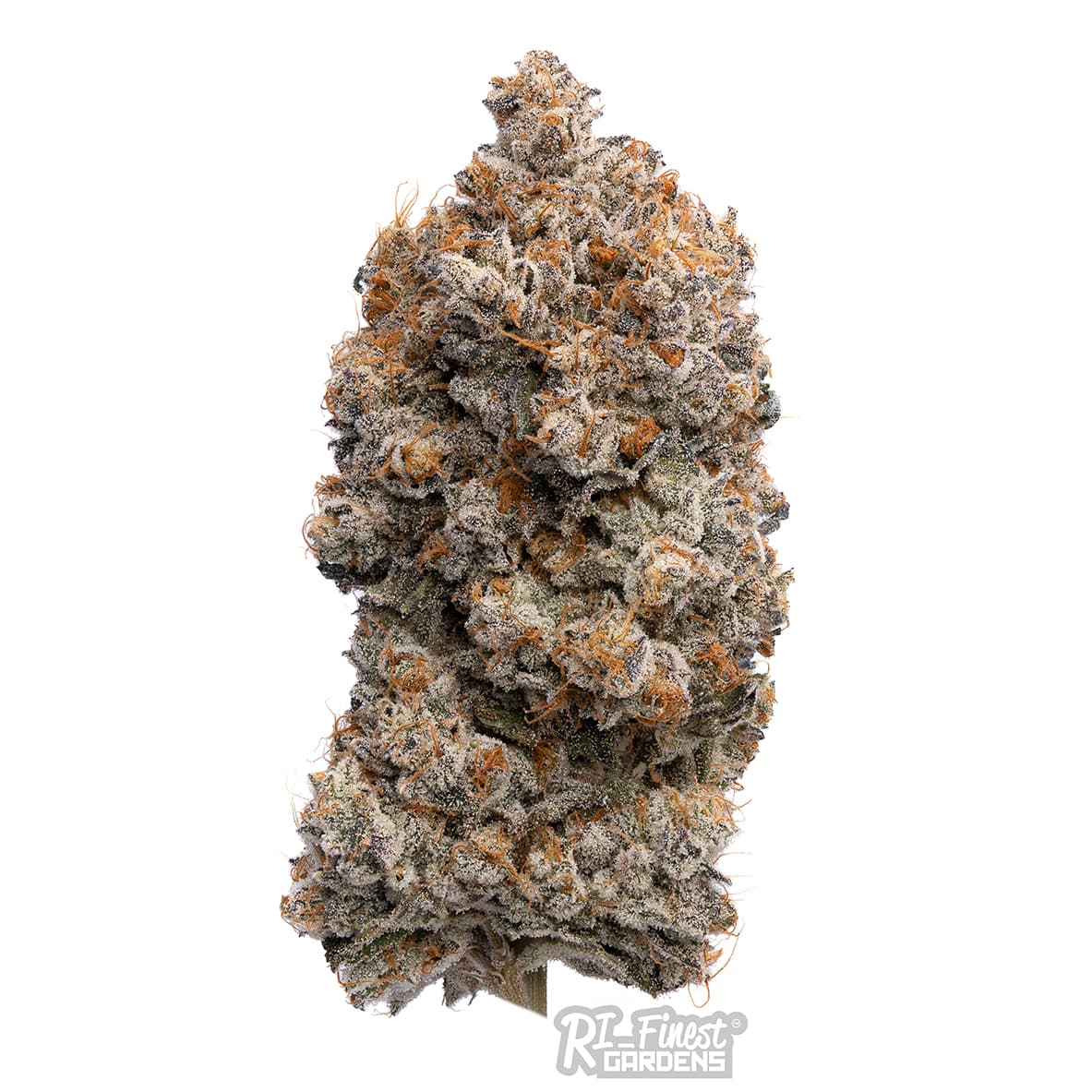 RI Finest Gardens Lemon Royale