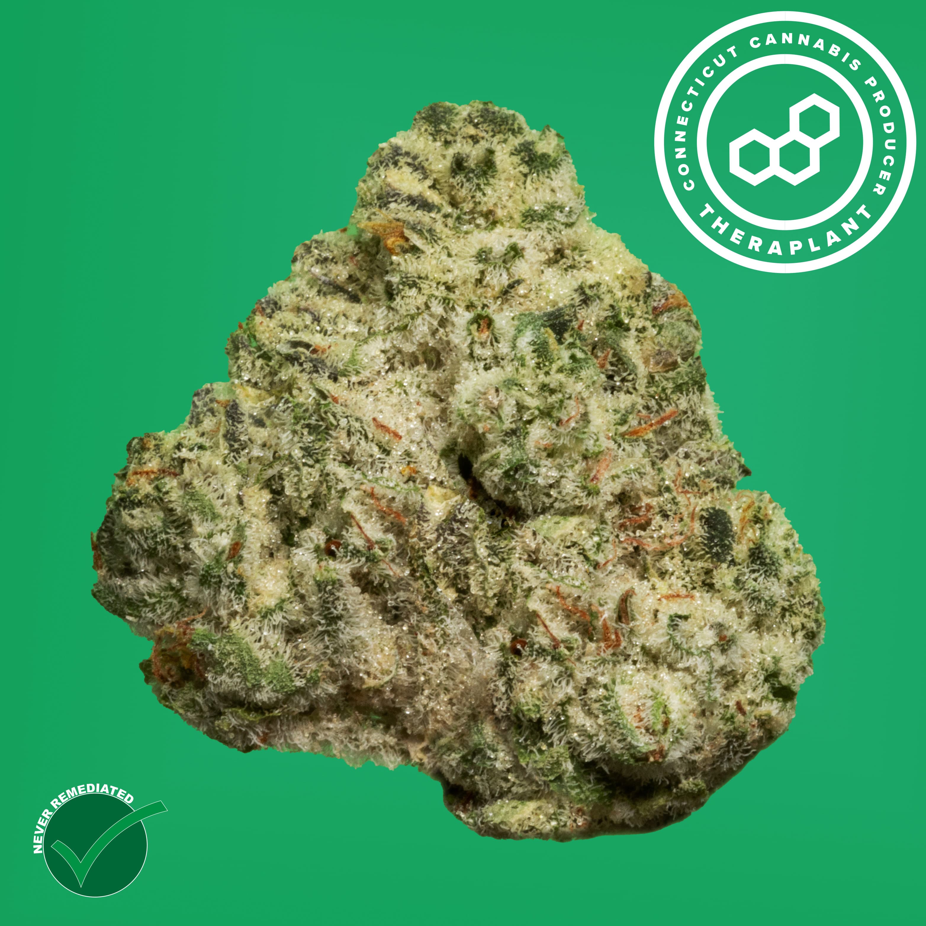 Theraplant Apple Tart 7g 41604