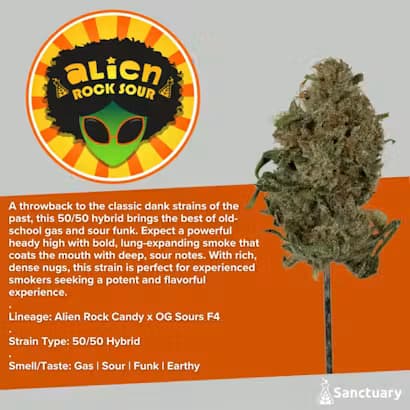 Sanctuary Medicinals Alien Rock Sour Flower | 3.5g - Sanctuary