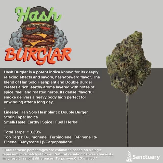 Sanctuary Medicinals Hash Burglar - Buds 3.5g