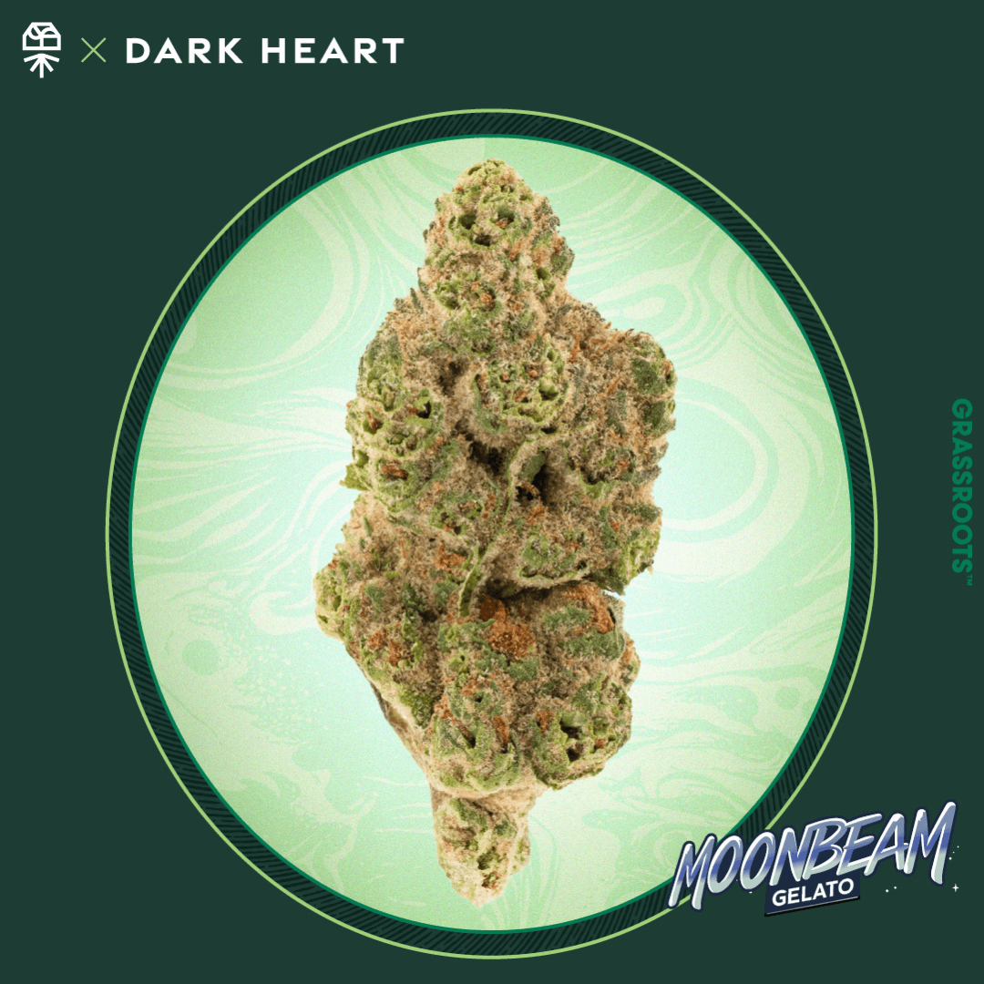 Dark Heart
