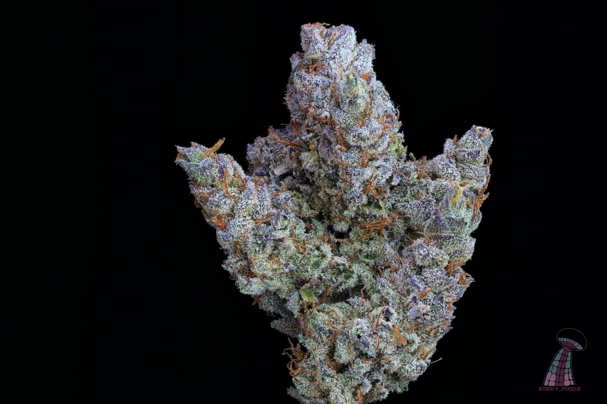 Kaya Cannabis
