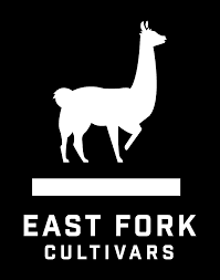 East Fork Cultivars Llama King - 1:1 CBD Flower