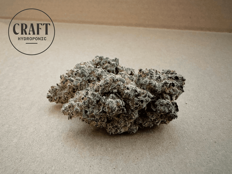 Craft Hydroponic