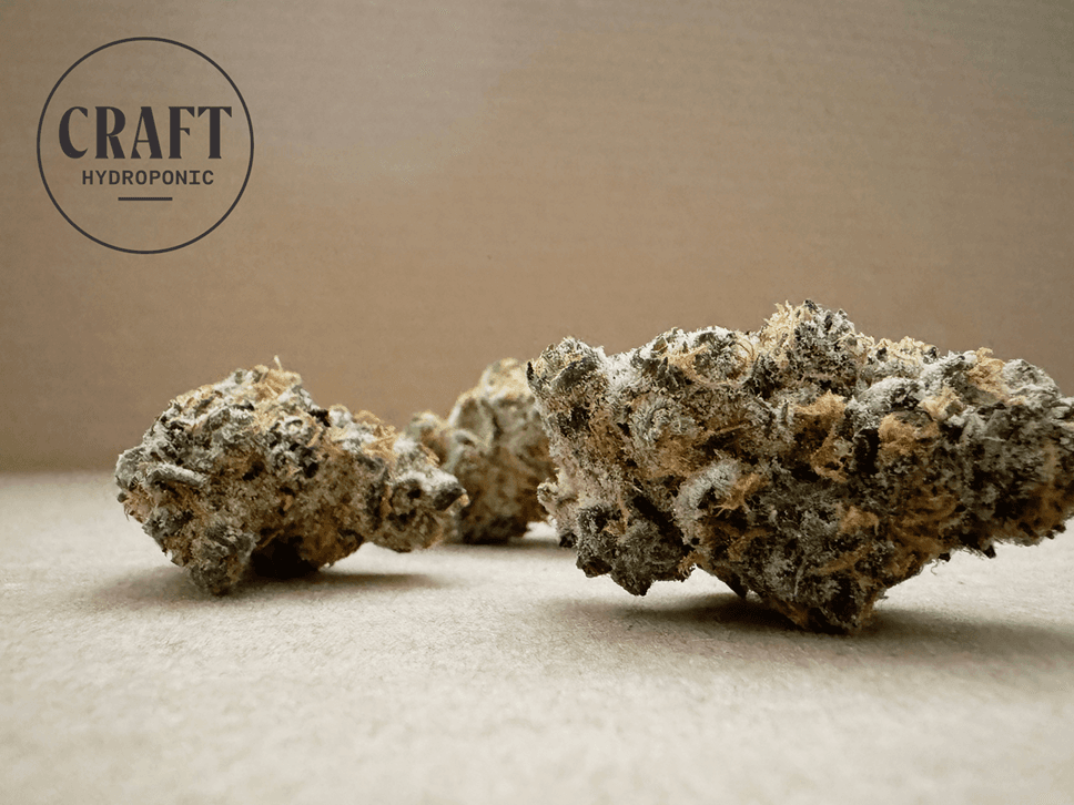 Craft Hydroponic