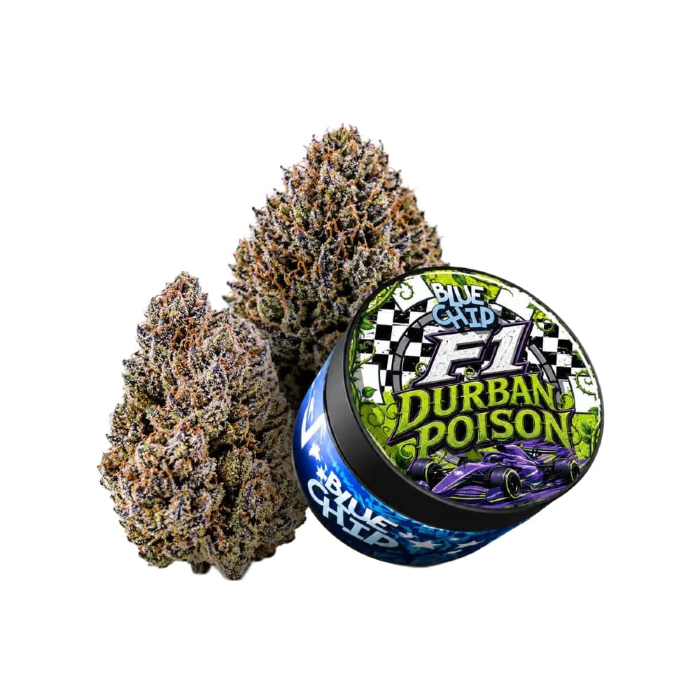 Blue Chip F1 Durban Poison