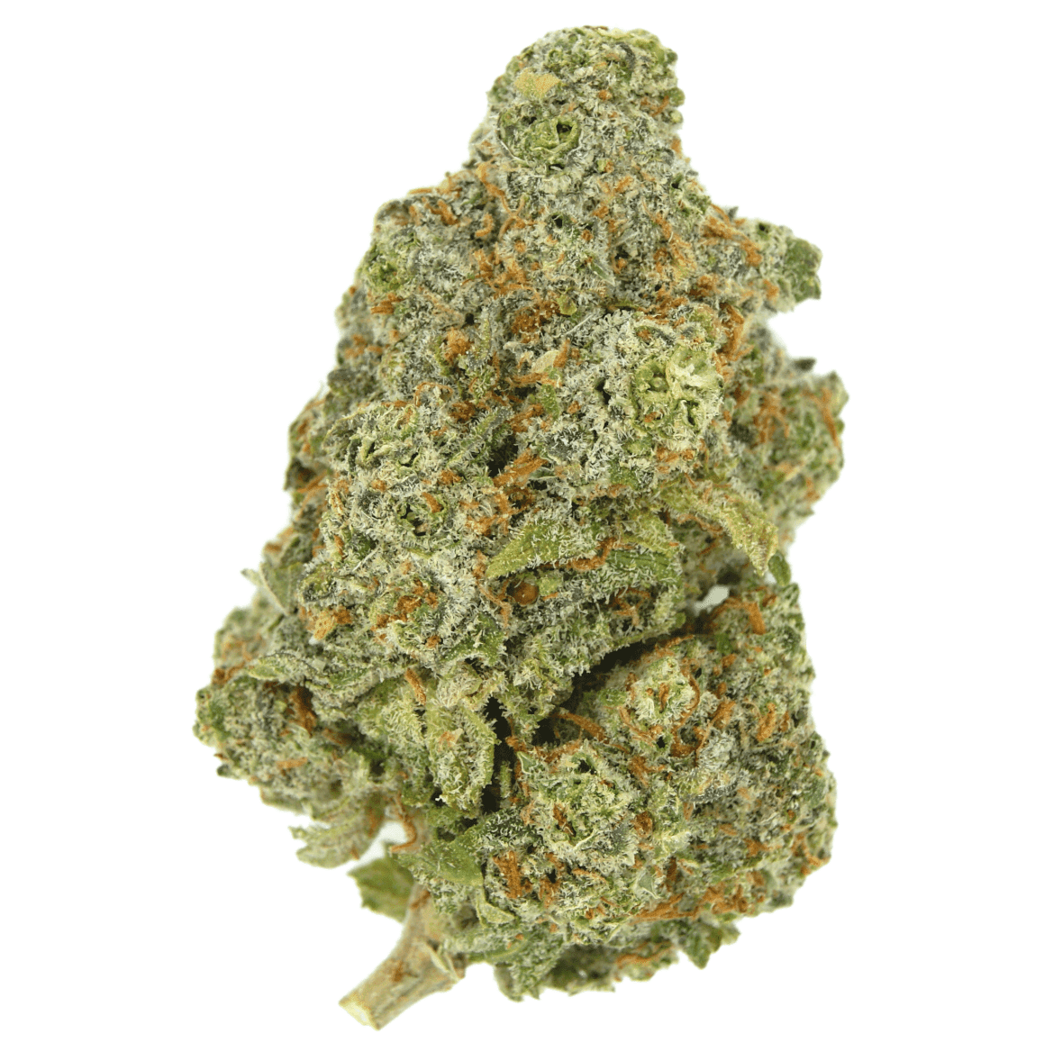 Every Day Weed Mac Daddy