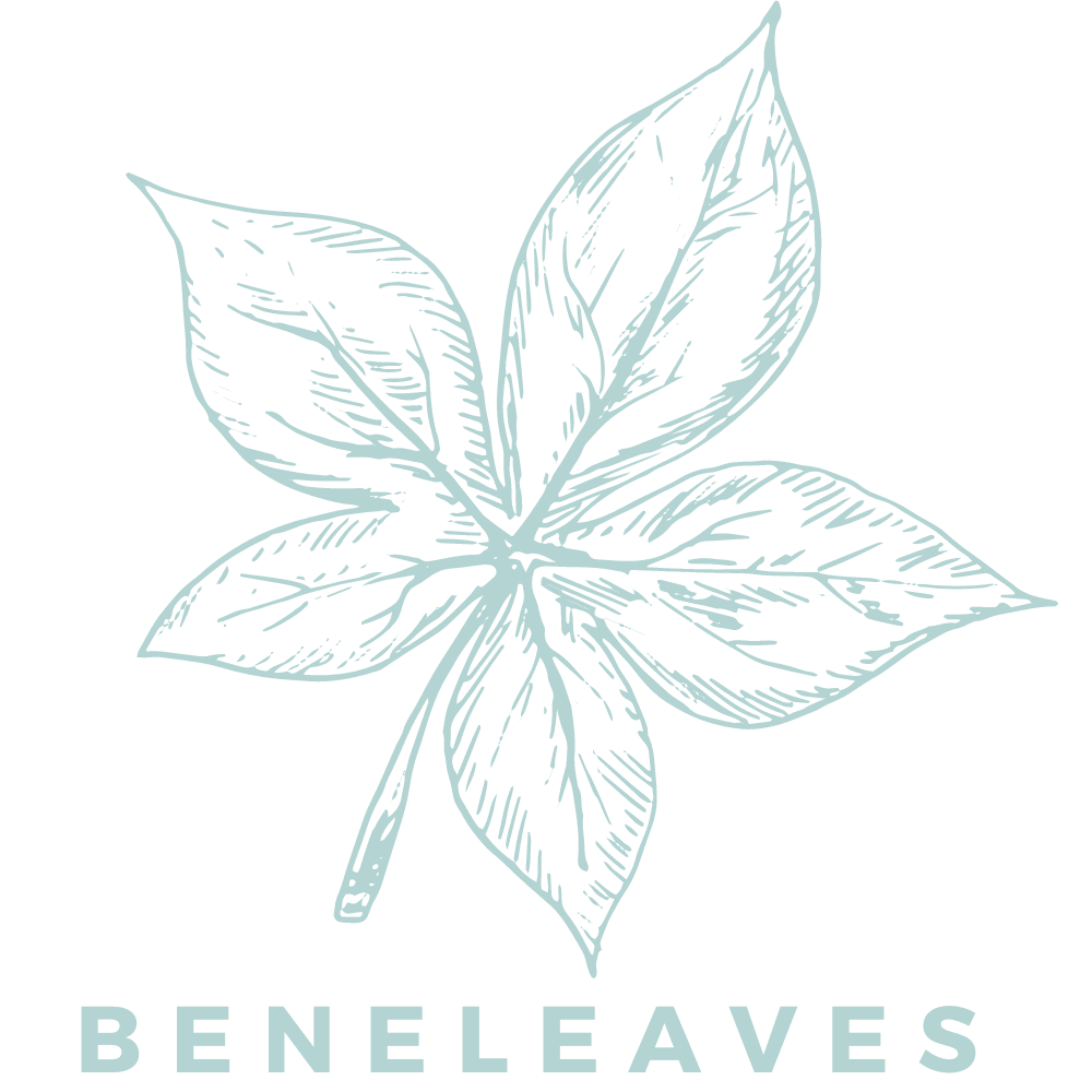 BeneLeaves Beneleaves Helios THC:CBG 22pk 220mg Capsules