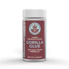 Ithaca Organics Cannabis Co. Gorilla Glue Prerolls 6pk - 3g
