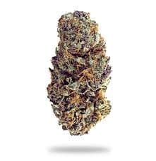Fresh Flower