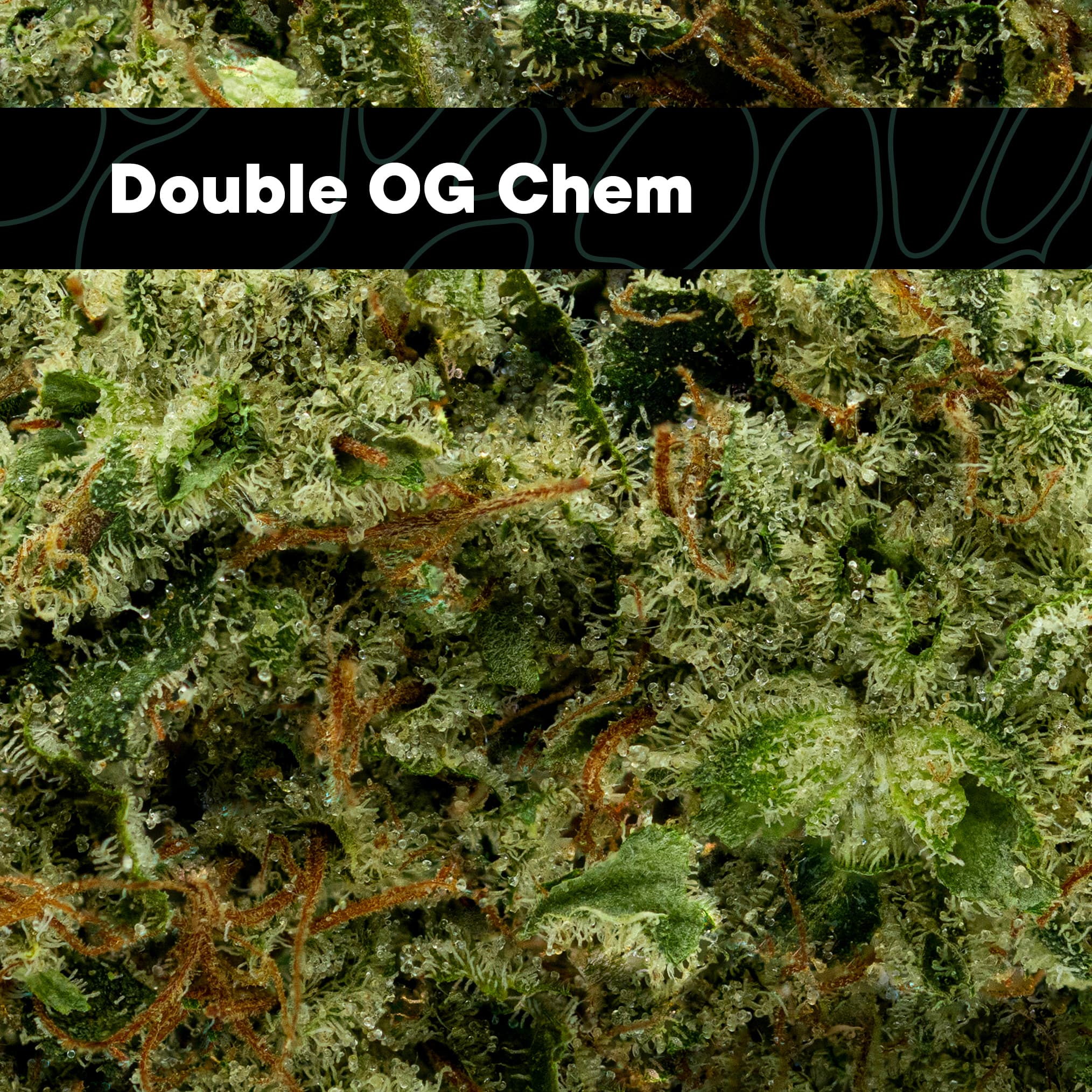 Cultivar Double OG Chem Flower