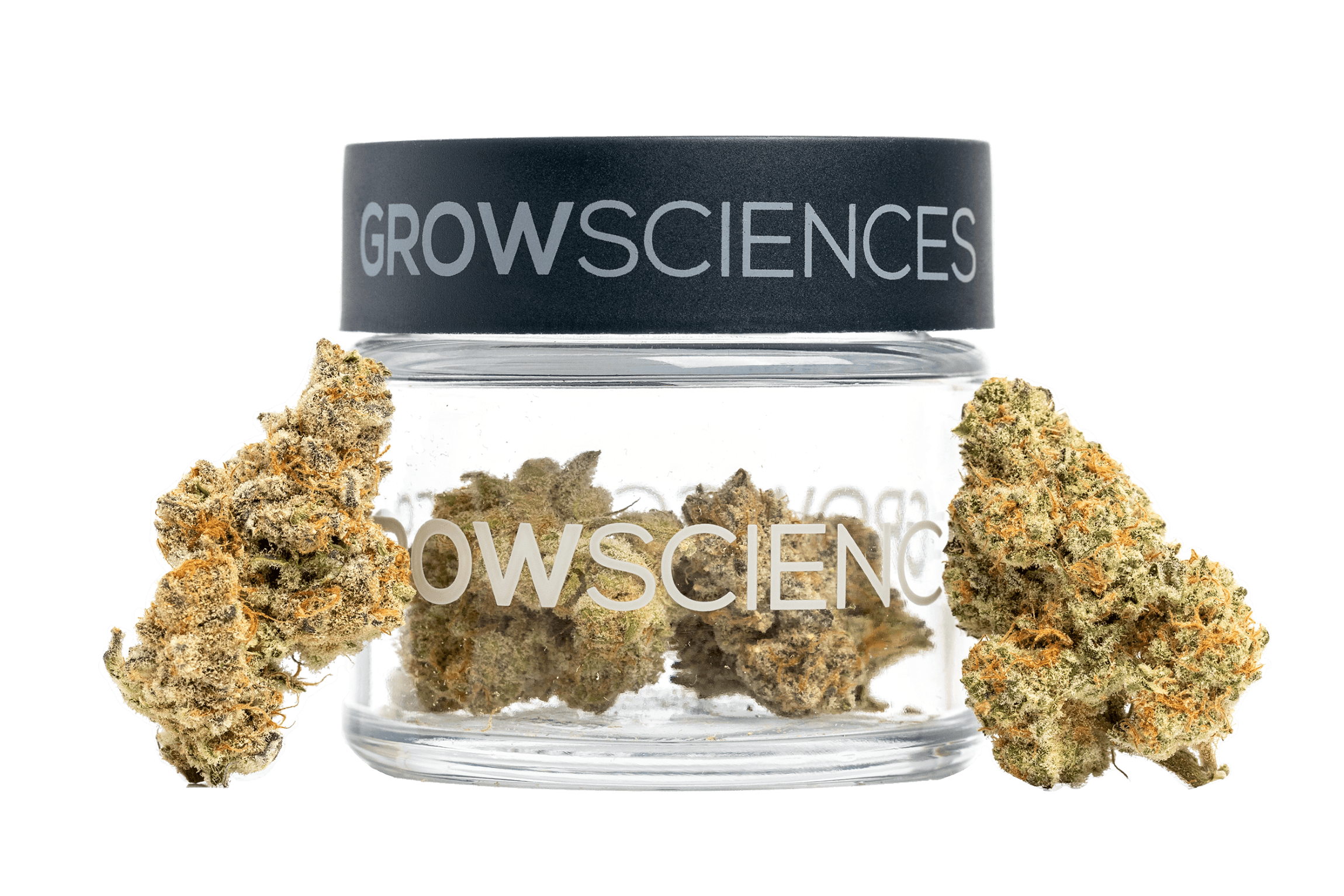 Grow Sciences Flashbang Flower