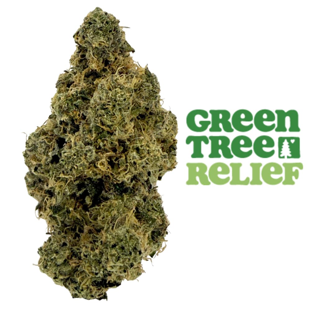 Forte Cannabis Black Maple