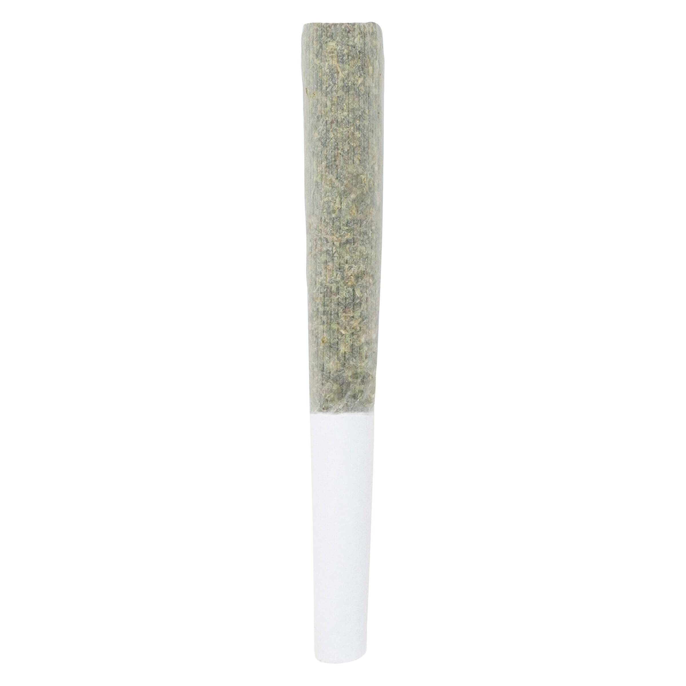 Encore Indica Greatest Hits Vol. 1 Pre-Roll 10-pack | 5g