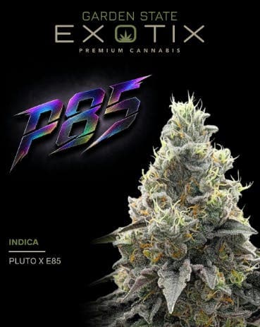 GARDEN STATE EXOTIX P85 | 28G