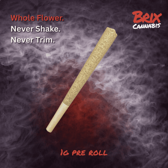 BRIX Govmint Oasis 1g Pre Roll (H) 00594