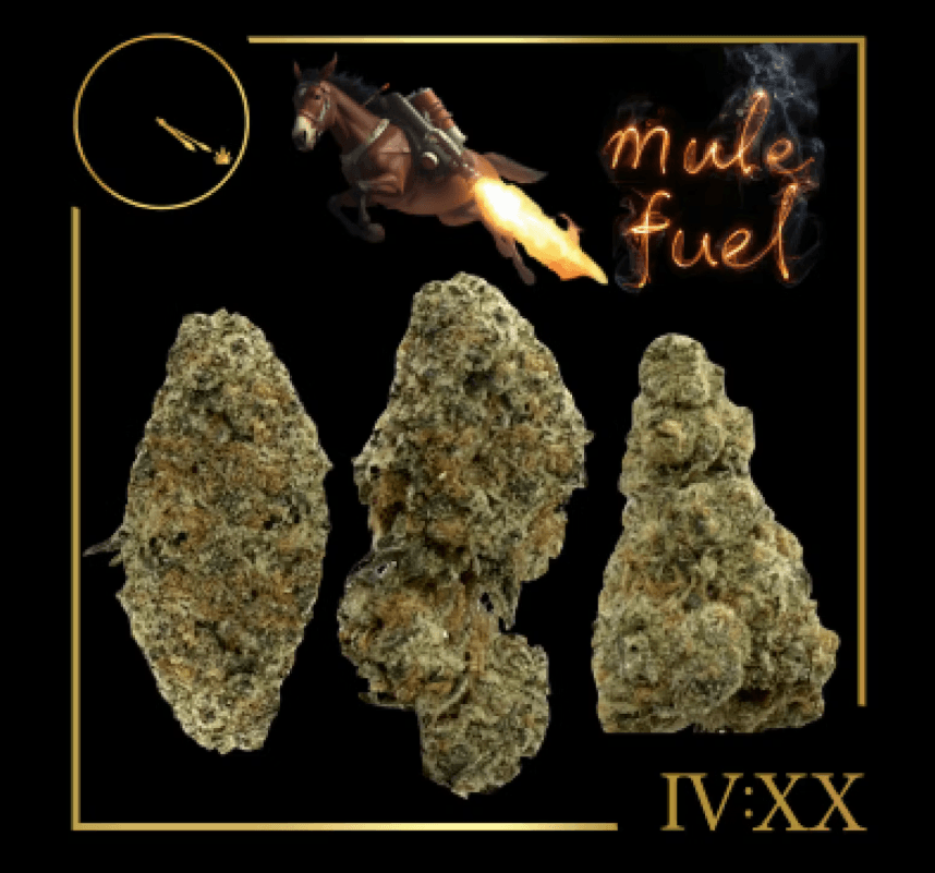 Zips Mule Fuel | 3.5g