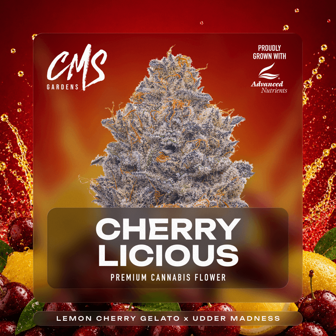 CMS Gardens Cherrylicious | 3.5g