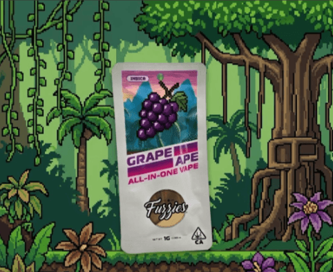 Fuzzies Fuzzies Destination AIO - Grape Ape 1g