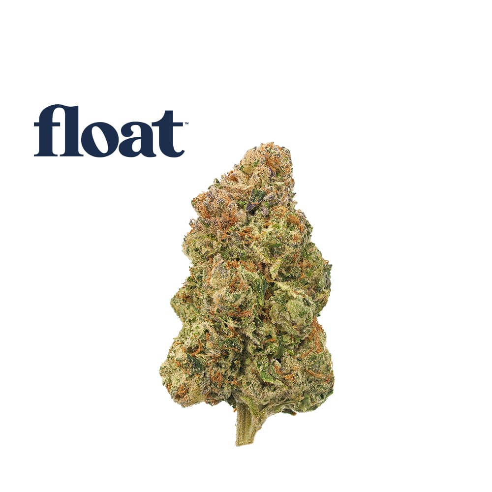 Float