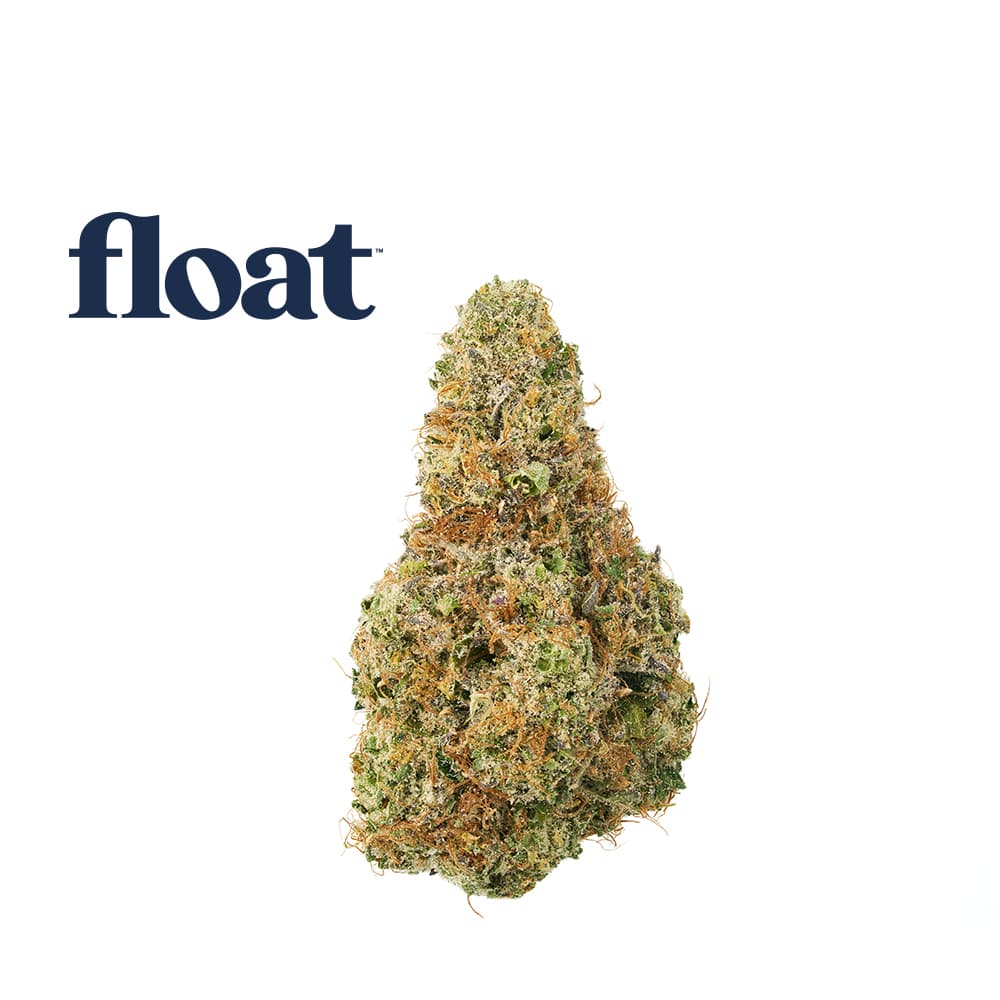 Float