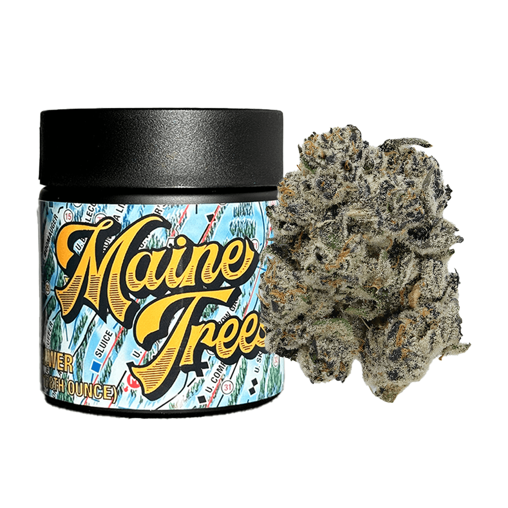 Maine Tree's