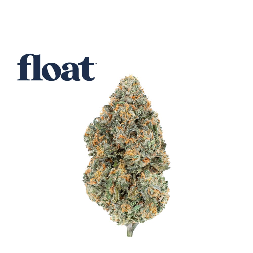 Float