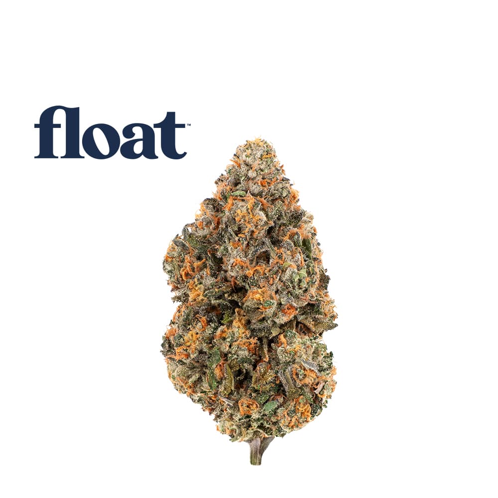 Float
