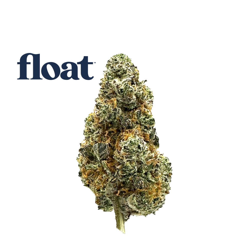 Float Grape Sundae (Indica) - Flower, 3.5g (1/8oz)