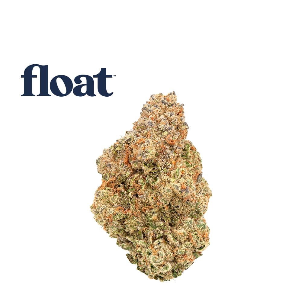 Float Reckless Driver (Sativa) - Flower, 3.5g (1/8oz)