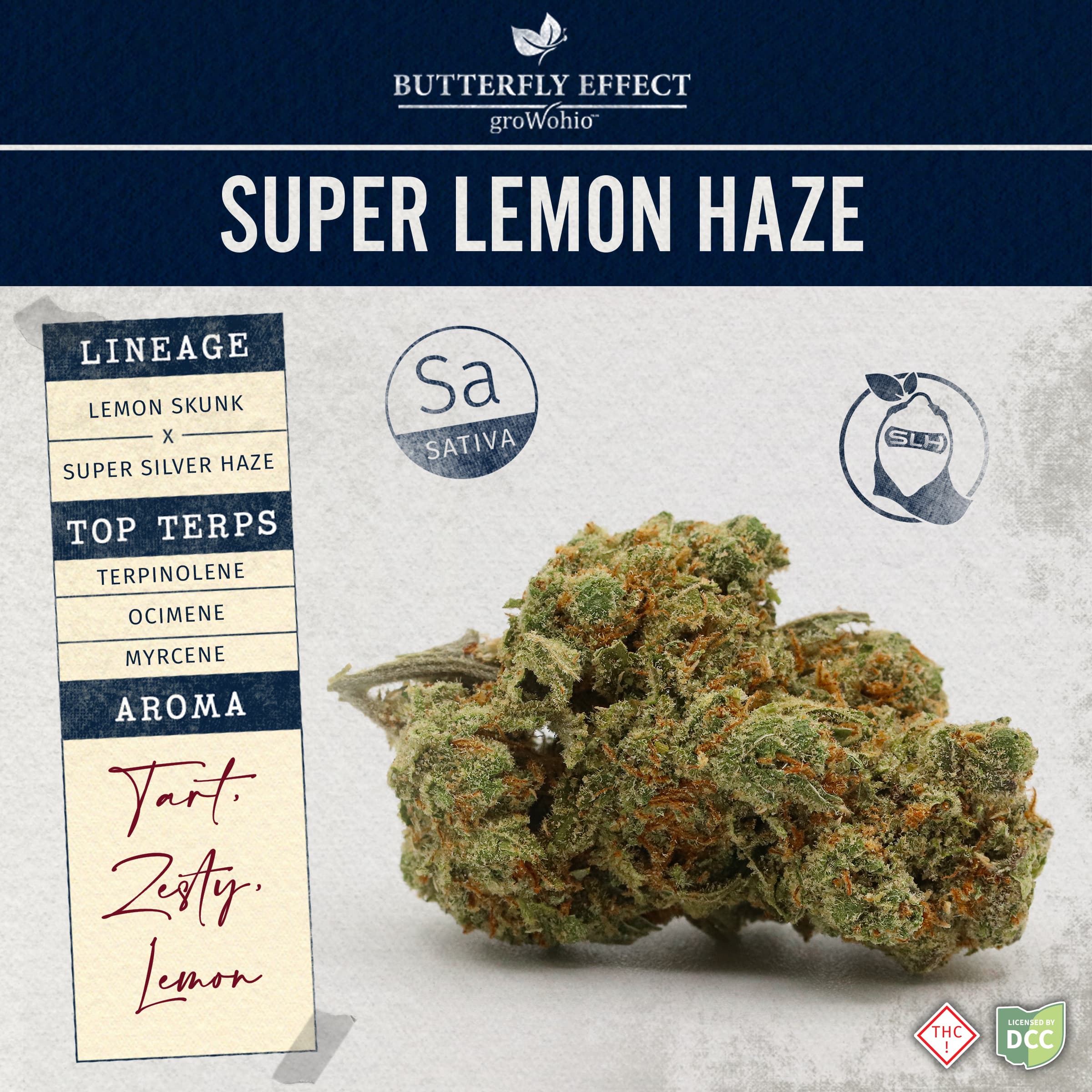 Butterfly Effect by Grow Ohio