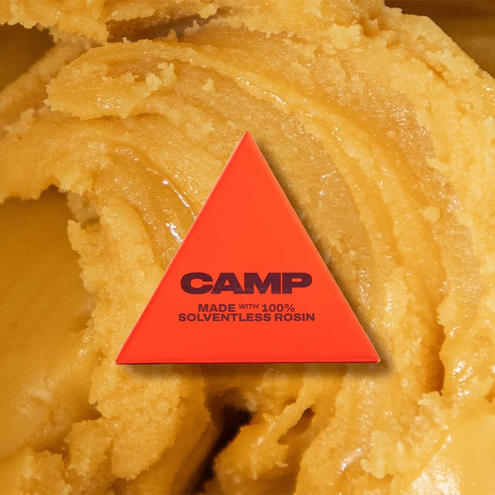CAMP OMG