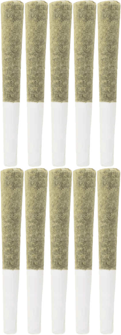 The Loud Plug