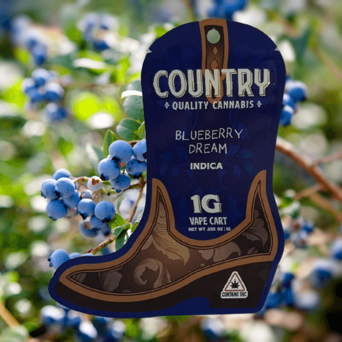 Country Blueberry Dream | 1g Vape | Country