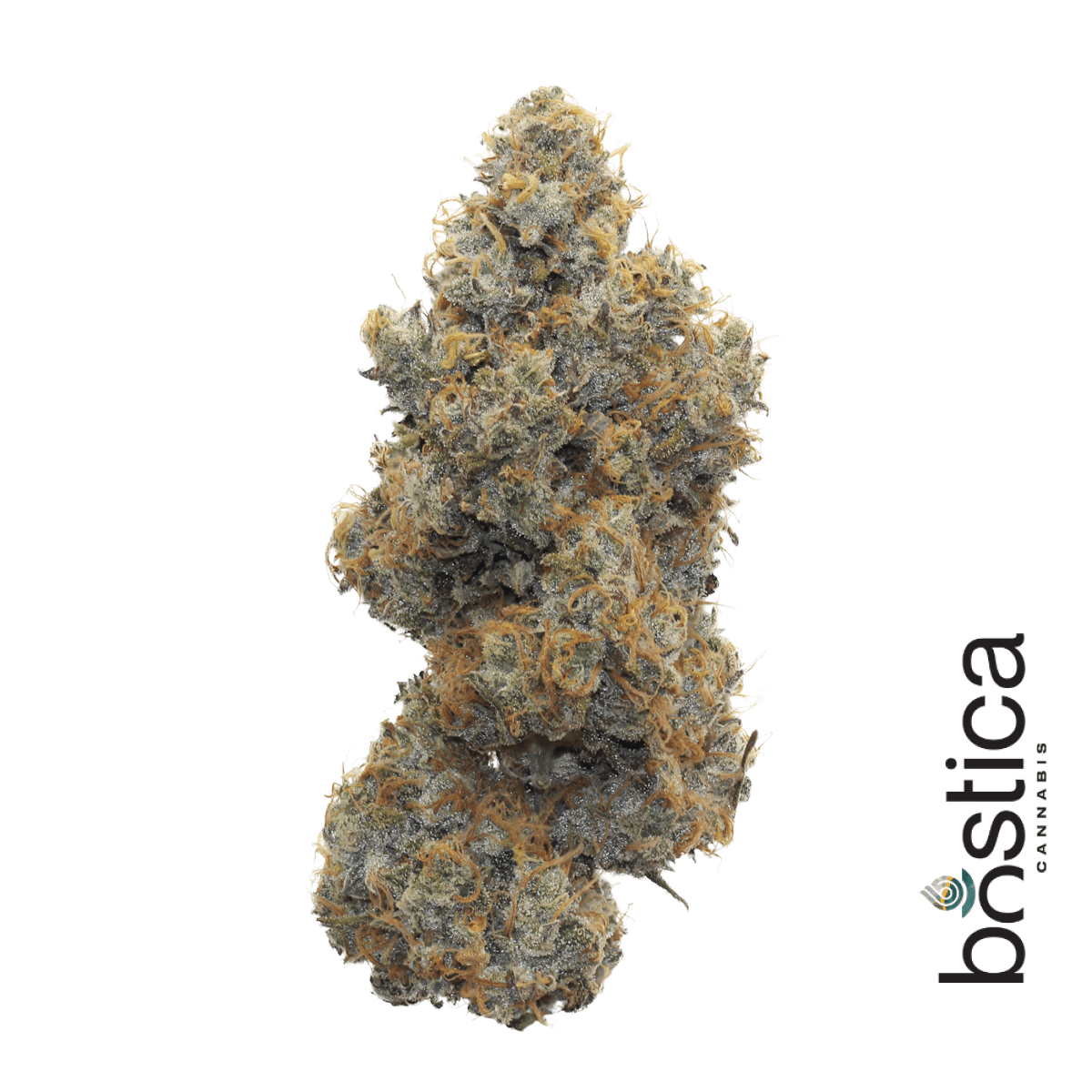 Bostica Moose & Lobsta | 3.5g