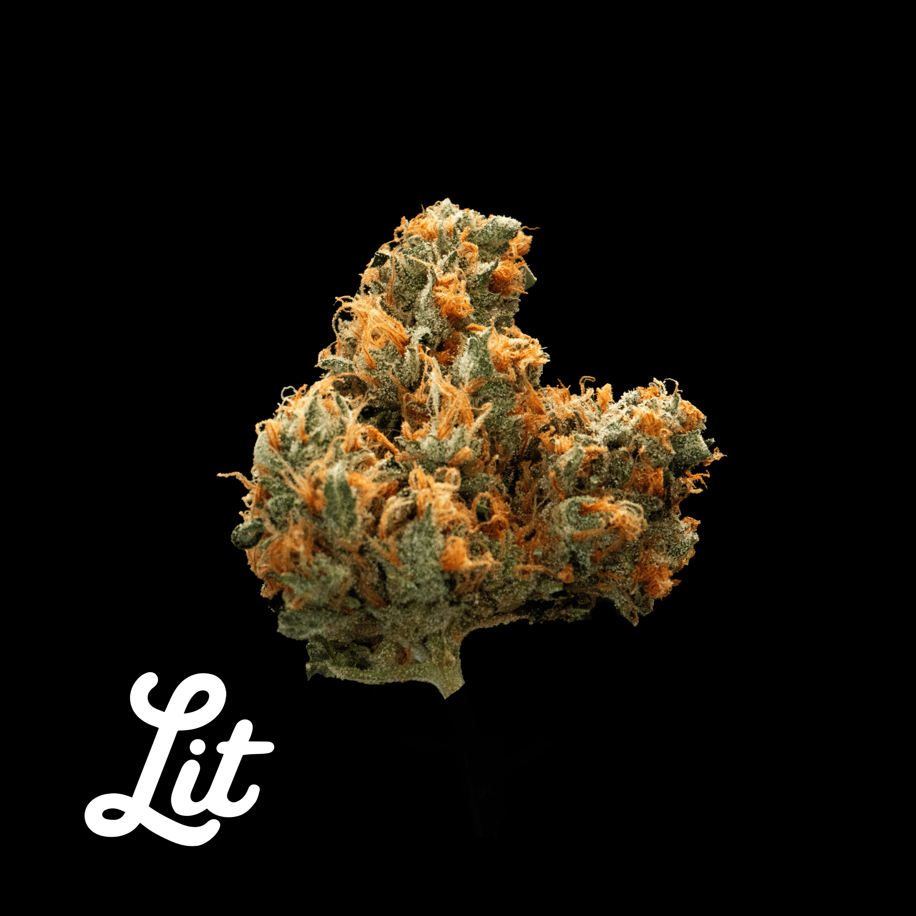 Lit Labs