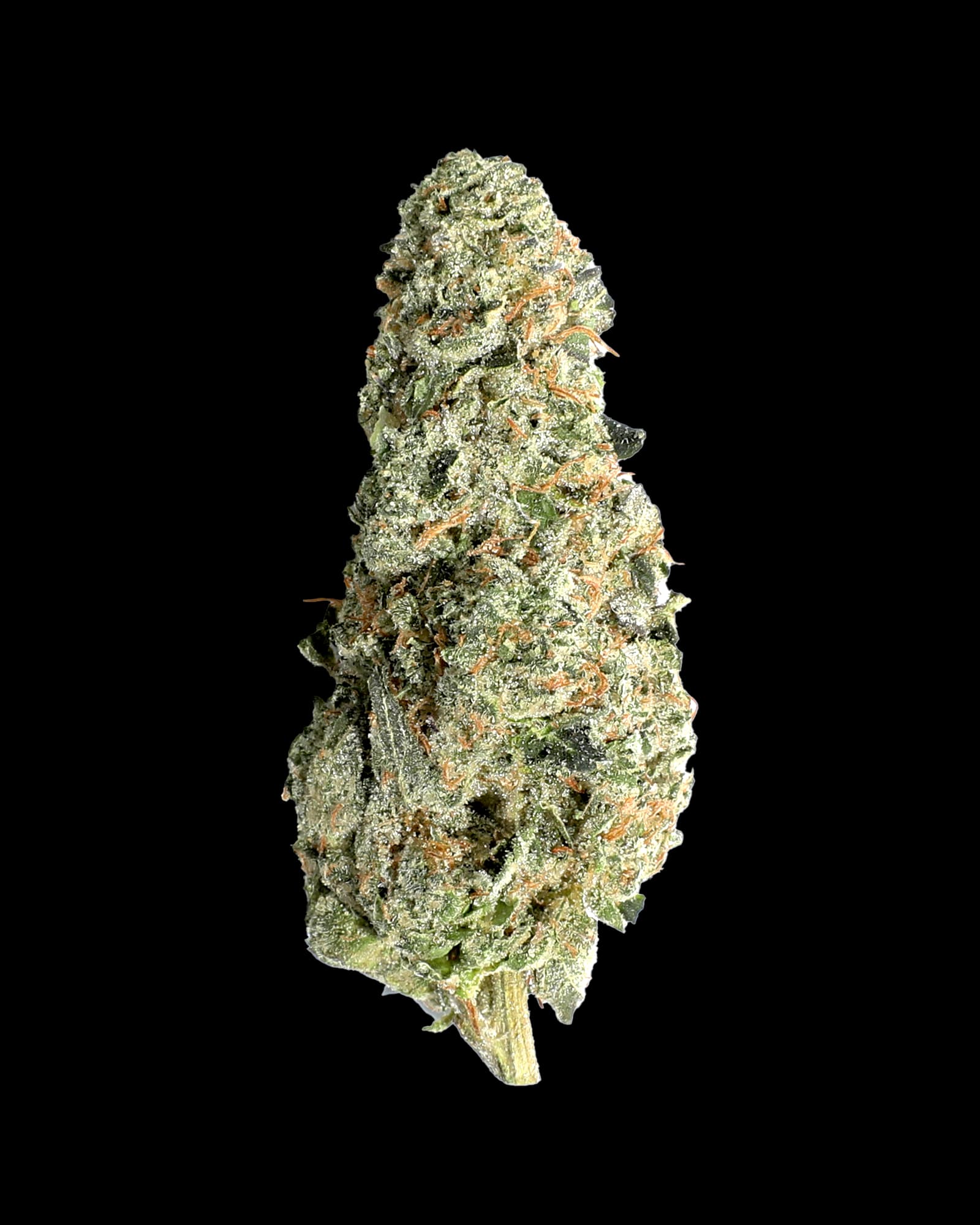 Glacier Cannabis