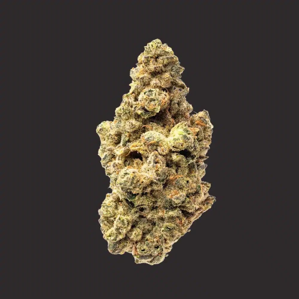 Fresh Flower