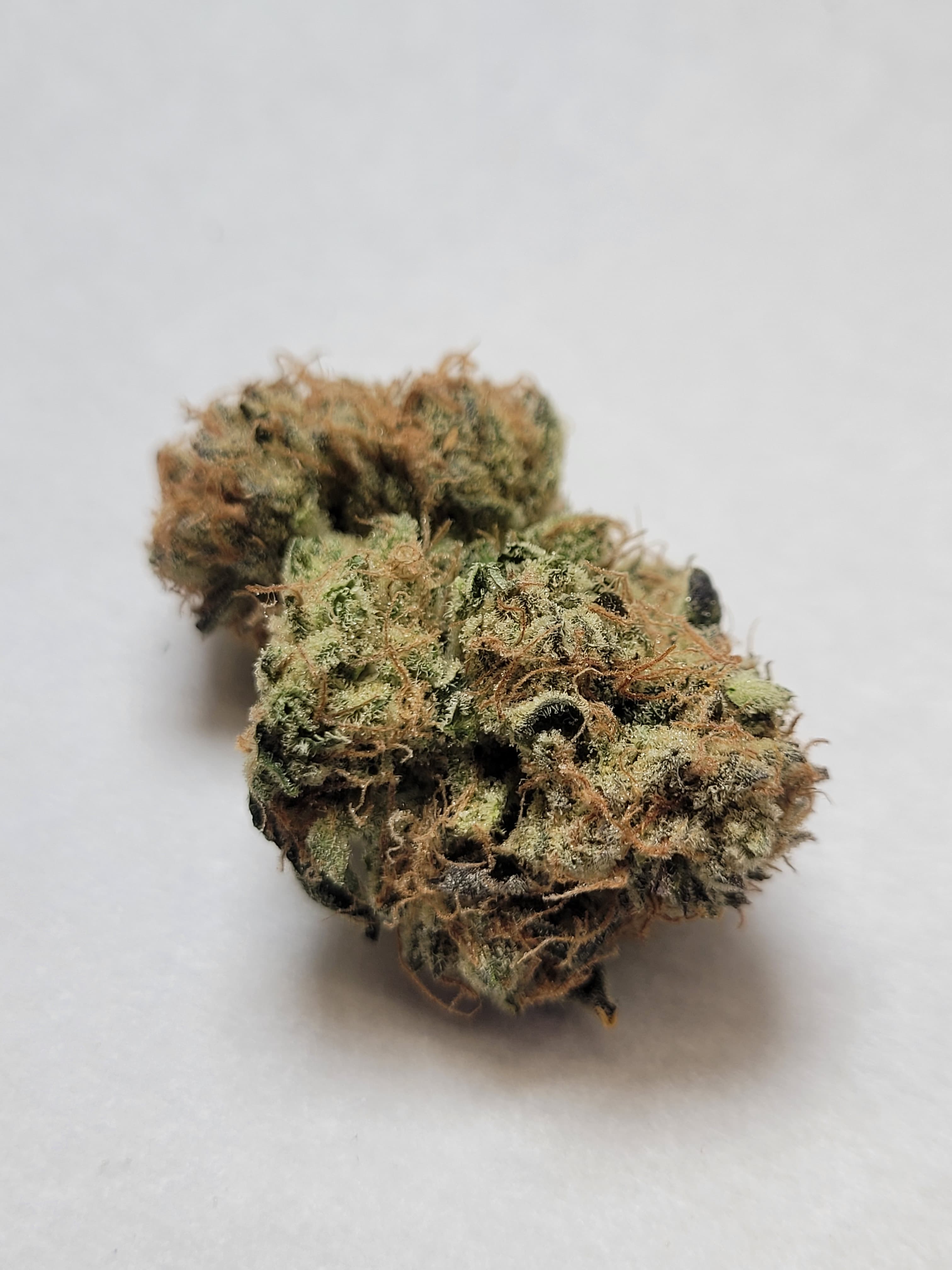 Mammoth Papaya Cake | 3.5g