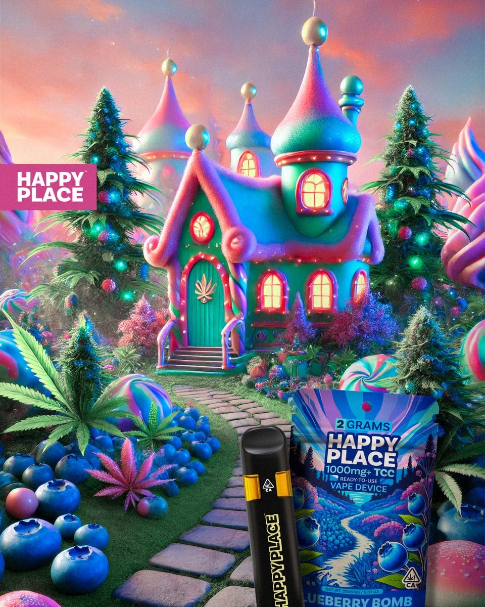 Happy Place Happy Place Blueberry Bomb 2g Disposable