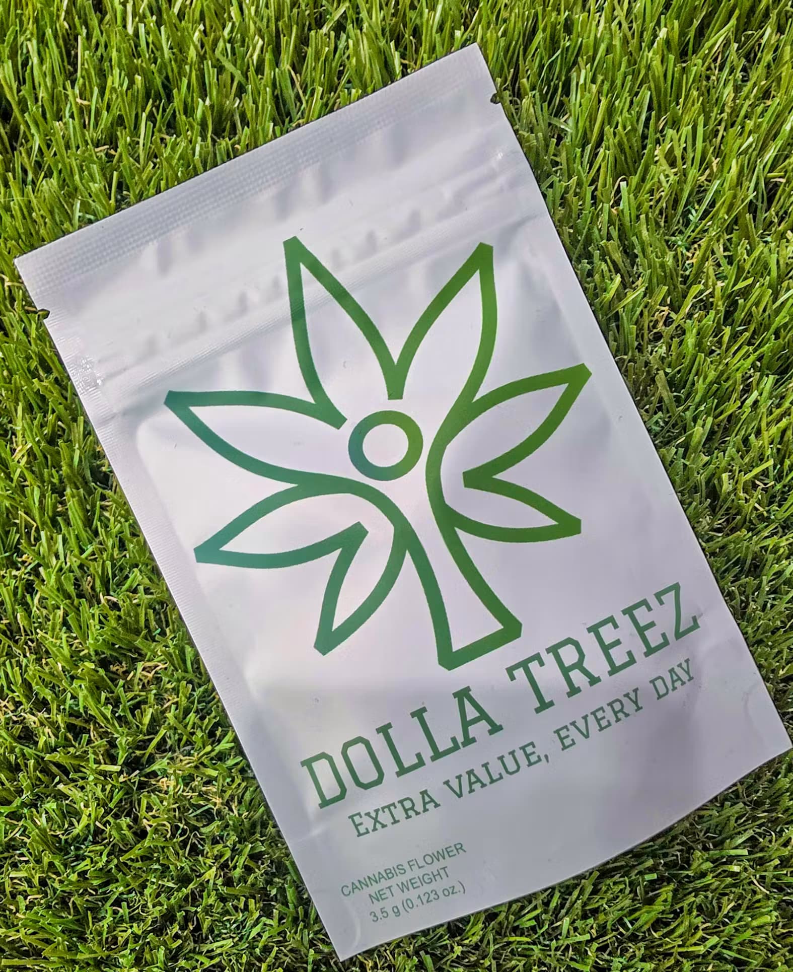 Dolla Treez Block Party