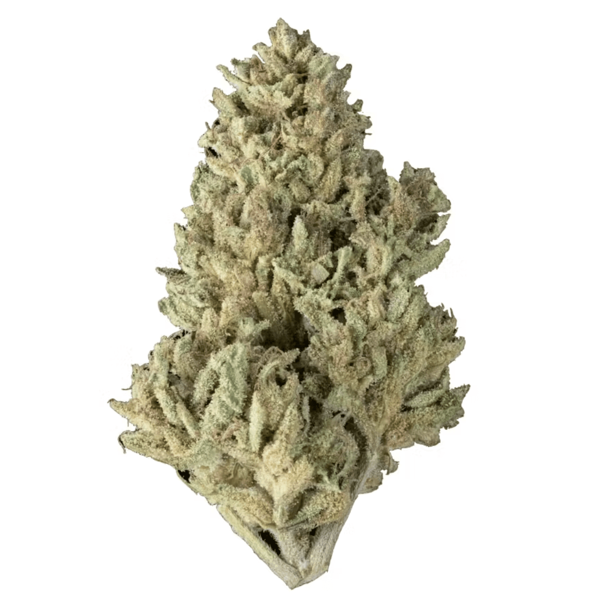 Rebel Grown Flower