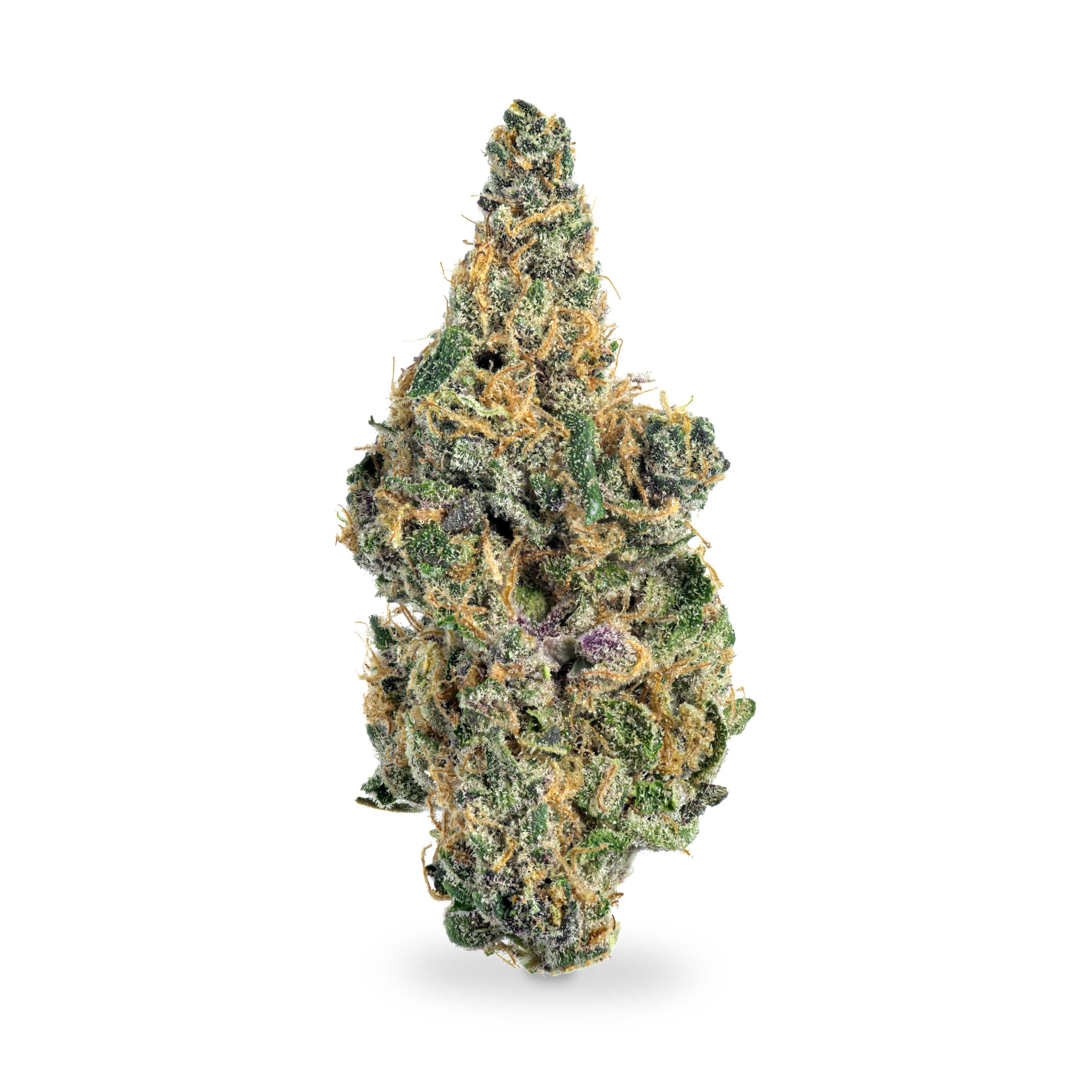 Luna Leaf Ice Cold Lava